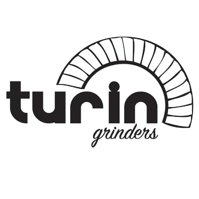Turin Logo